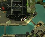 Little-foxes-in-the-big-city-3.jpg