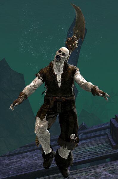 File:Risen Pirate (male 3 spear).jpg