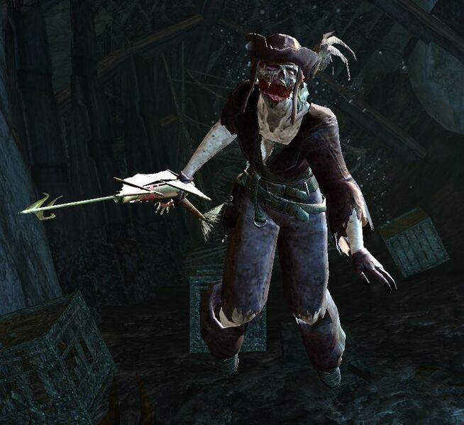 File:Risen Pirate (female 2 harpoon).jpg