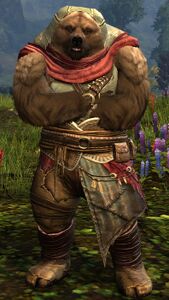 Lowland Kodan medium 1 (crossed arms).jpg