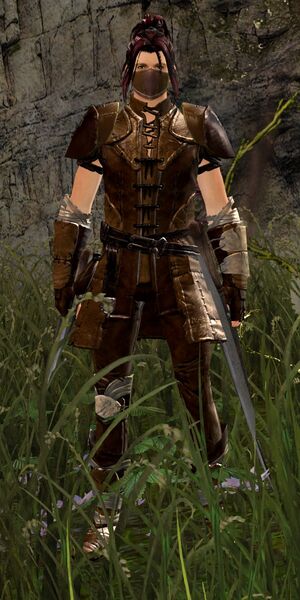 File:Bandit Assassin male 1.jpg