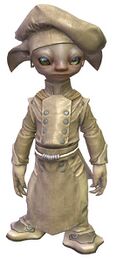 Cook's Outfit