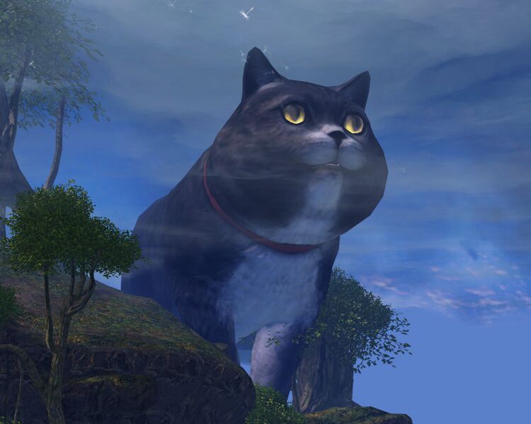 File:Gigantic cat The Grove.jpg