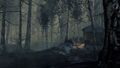 Whisper in the Dark 08.jpg